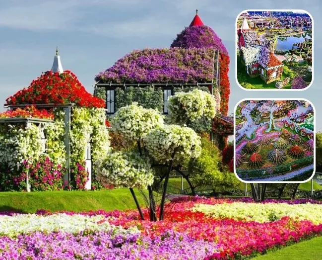 Dubai Miracle Garden themed floral attraction